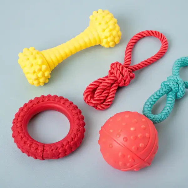Chew Toys Assortment