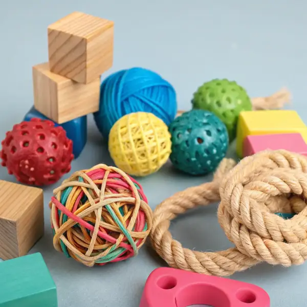 Durable Pet Toy Set